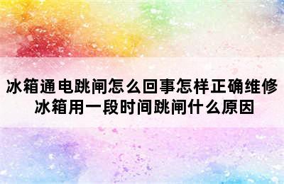 冰箱通电跳闸怎么回事怎样正确维修 冰箱用一段时间跳闸什么原因